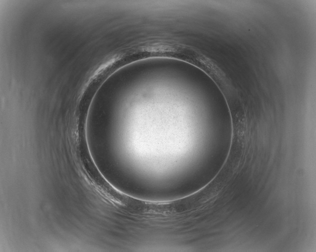 X0000080190727200612081426