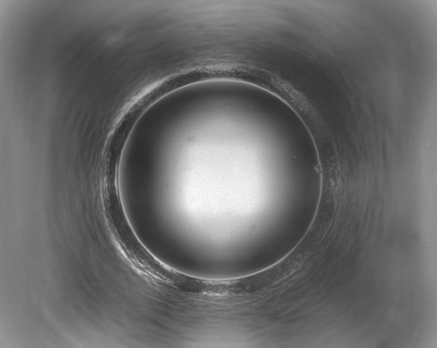 X0000080190728200612081426