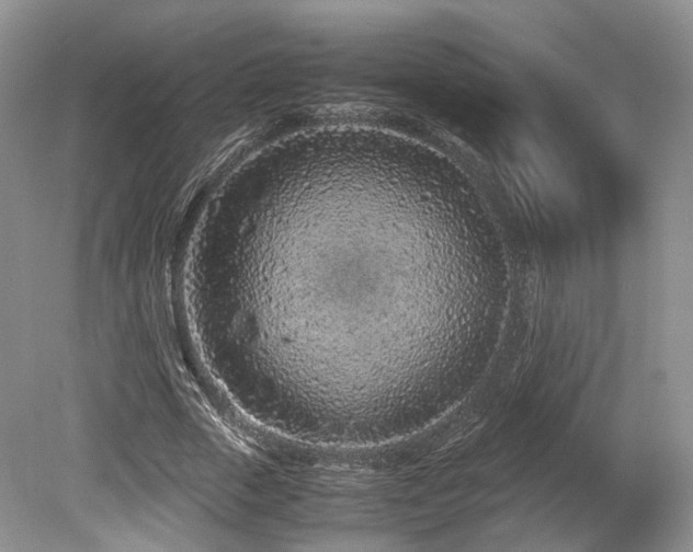 X0000080190729200612081426