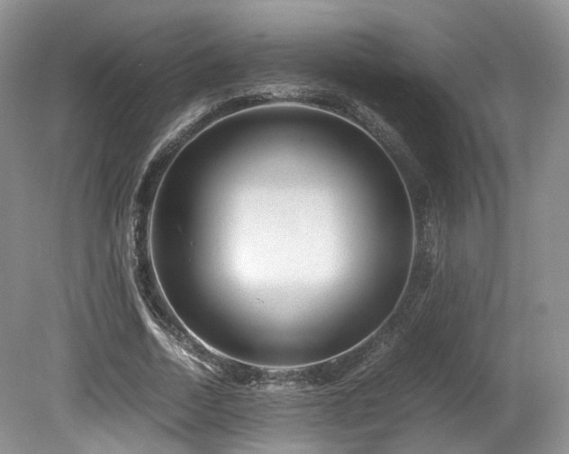 X0000080190730200612081426