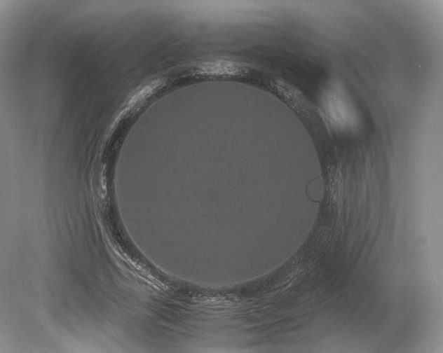 X0000080190731200612081426