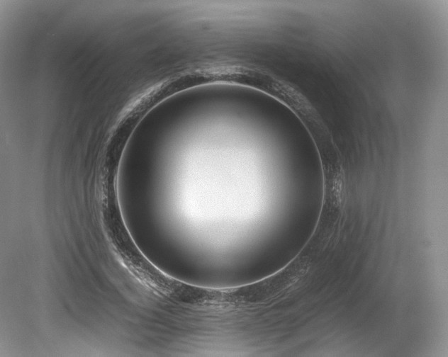 X0000080190732200612081426