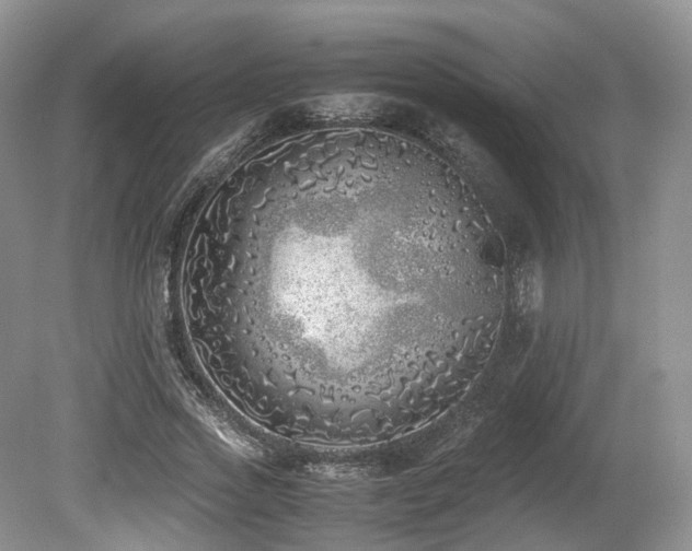 X0000080190733200612081426