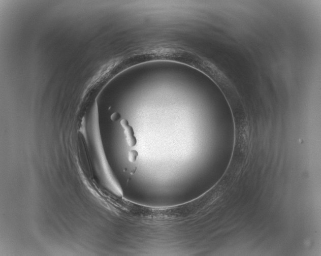 X0000080190734200612081426
