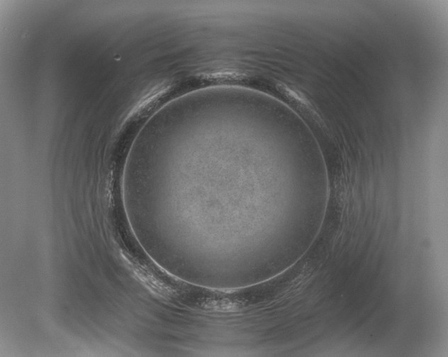 X0000080190735200612081427