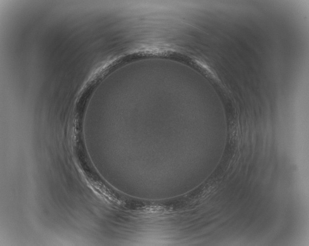 X0000080190736200612081427