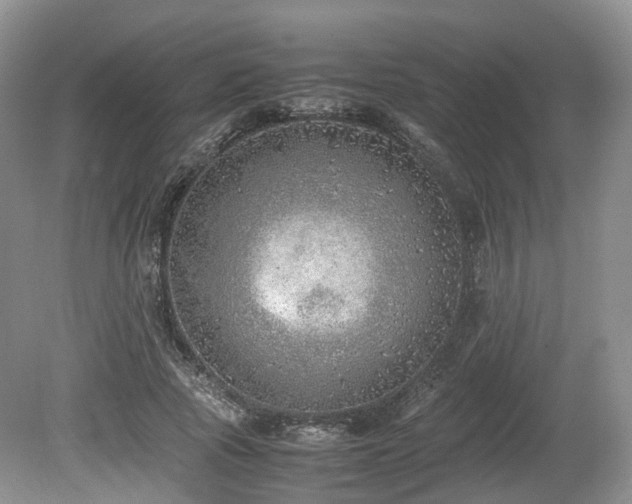 X0000080190737200612081427