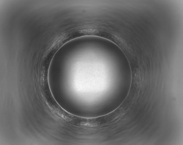 X0000080190739200612081427