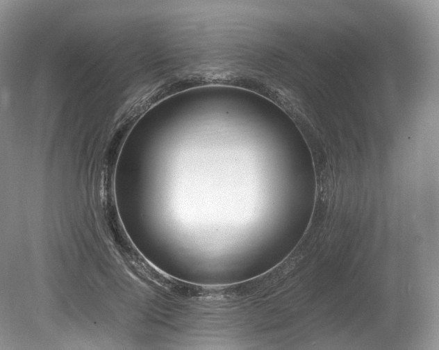 X0000080190740200612081427