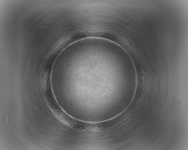 X0000080190742200612081427