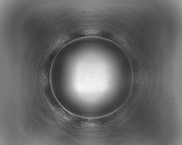 X0000080190743200612081427