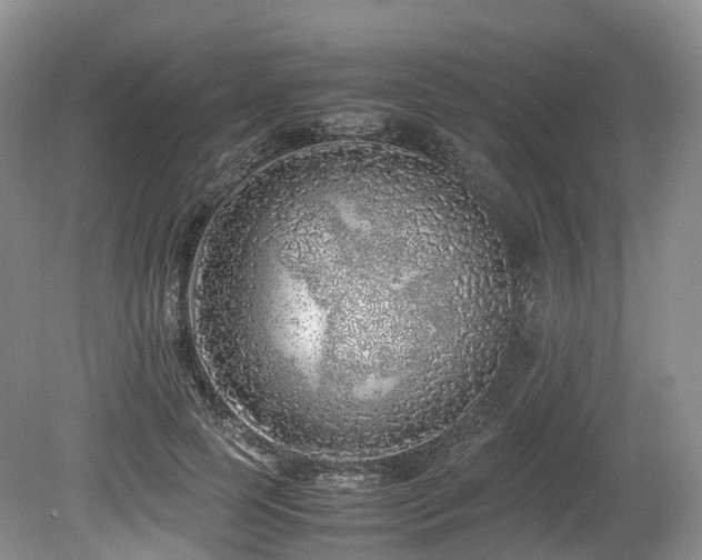 X0000080190745200612081427