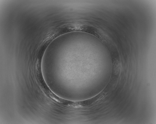 X0000080190747200612081427