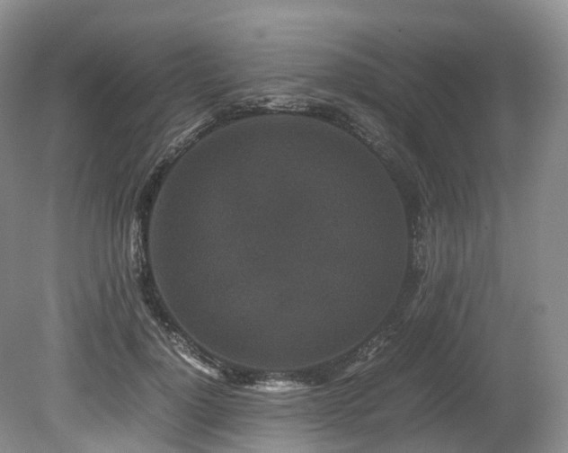 X0000080190748200612081427