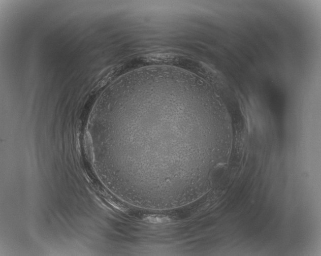 X0000080190749200612081427