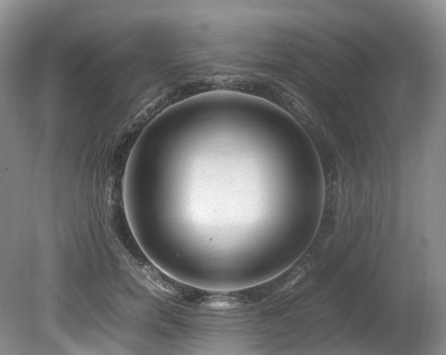X0000080190750200612081427