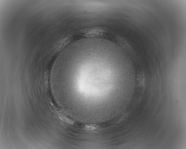 X0000080190753200612081427