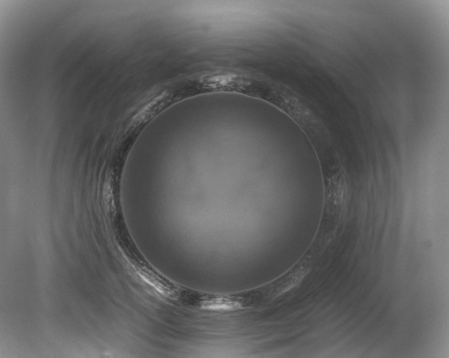 X0000080190754200612081427