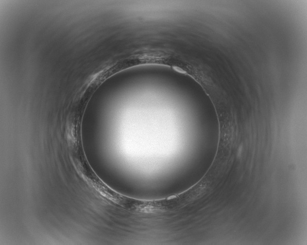 X0000080190755200612081427