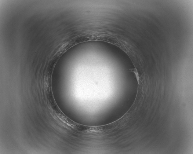 X0000080190756200612081427