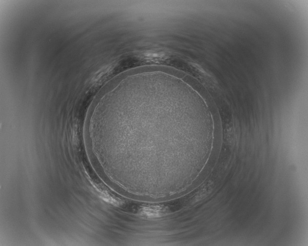 X0000080190757200612081427