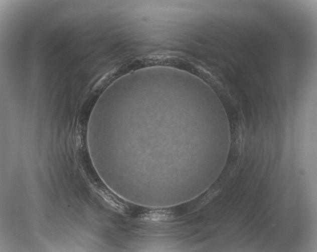 X0000080190758200612081427