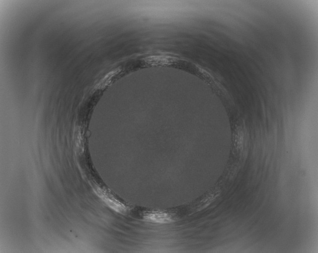 X0000080190759200612081427