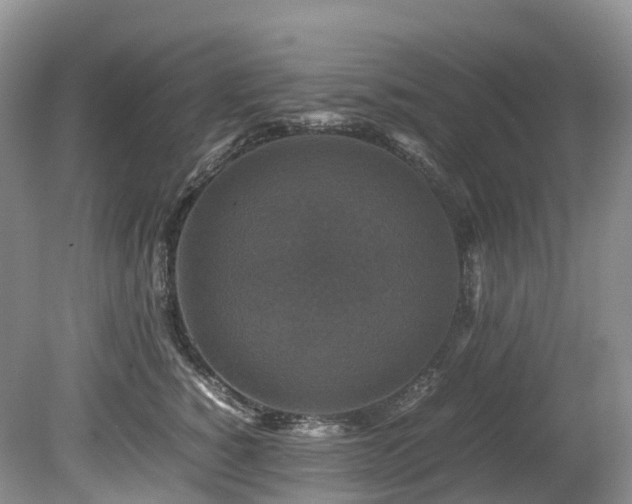 X0000080190760200612081427