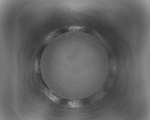 X0000080190761200612081427