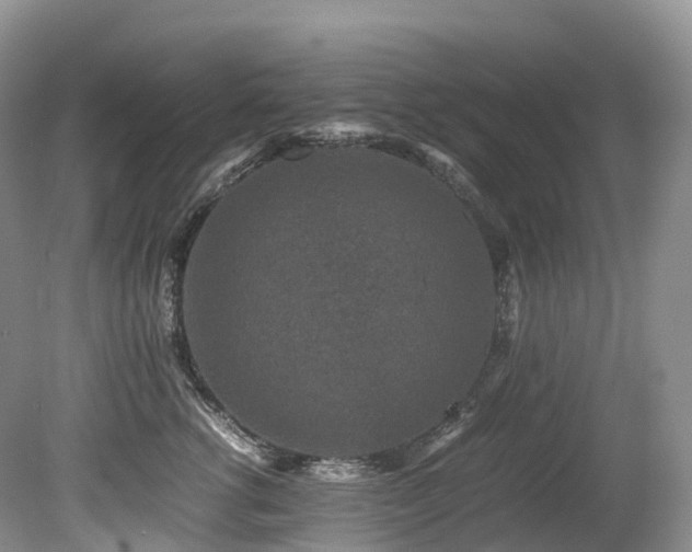 X0000080190762200612081427