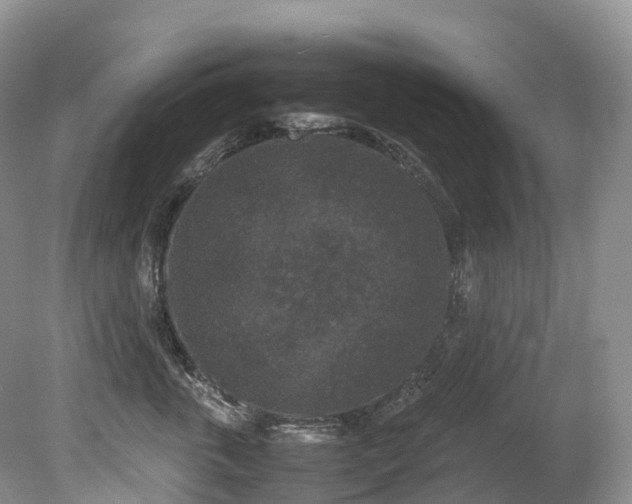 X0000080190763200612081427