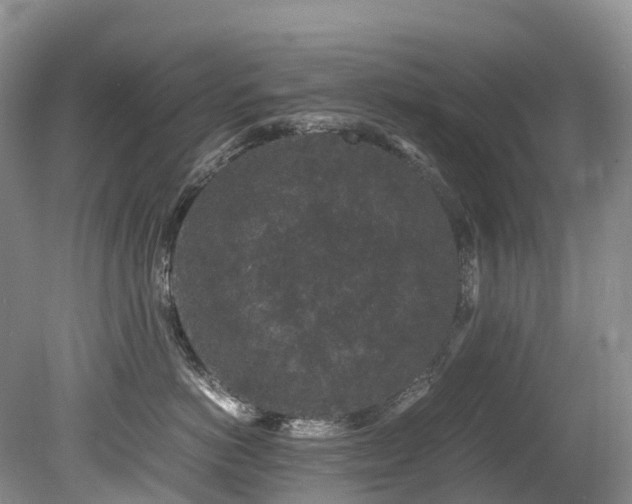 X0000080190766200612081427