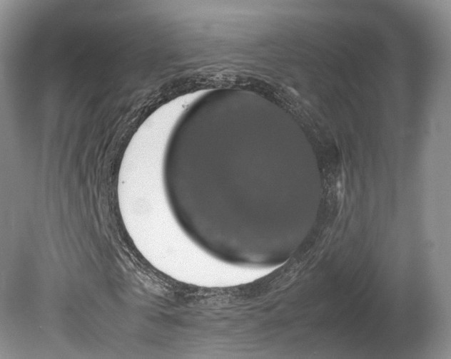 X0000080190769200612081426