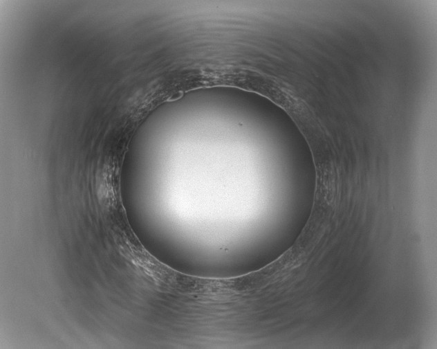 X0000080190770200612081426