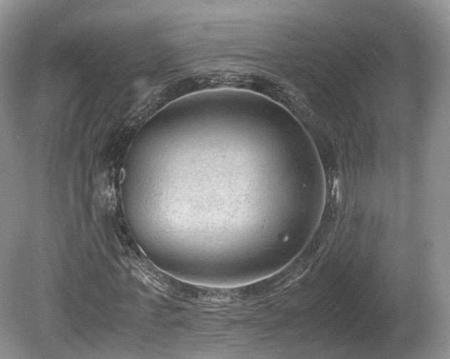 X0000080190771200612081426