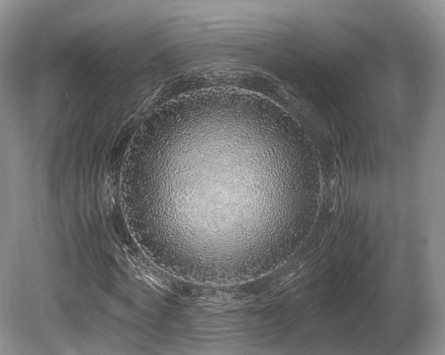 X0000080190772200612081426