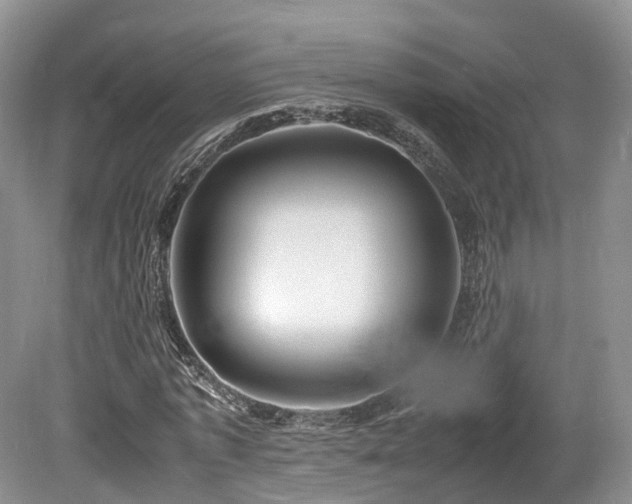 X0000080190773200612081426