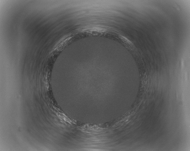 X0000080190774200612081426