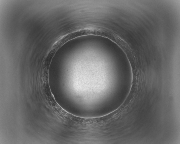 X0000080190776200612081426