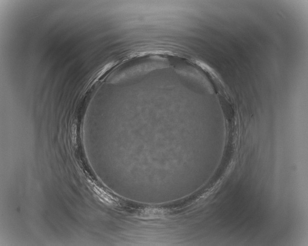 X0000080190777200612081426
