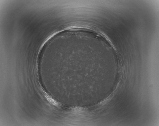X0000080190779200612081426