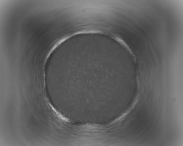 X0000080190781200612081426