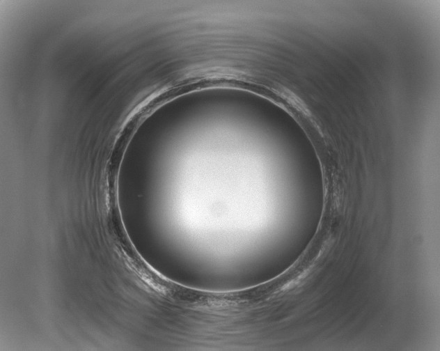 X0000080190782200612081426
