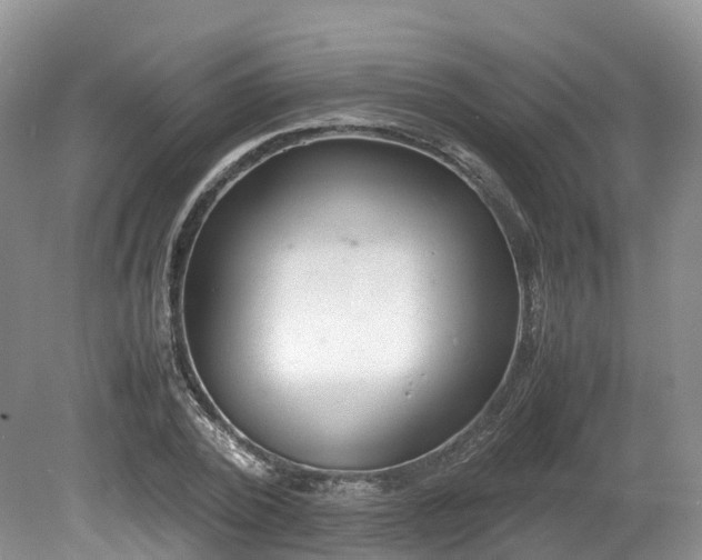 X0000080190784200612081426