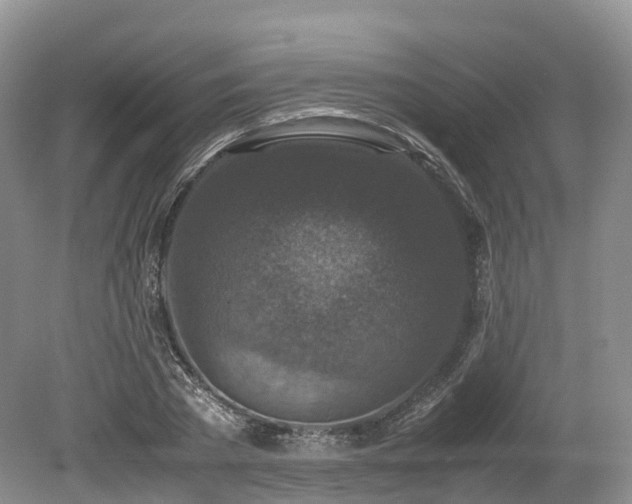 X0000080190785200612081426