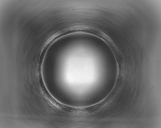 X0000080190786200612081426