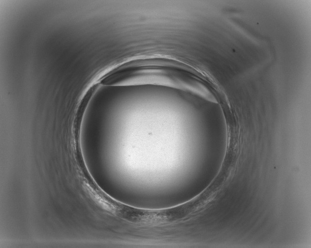 X0000080190789200612081426