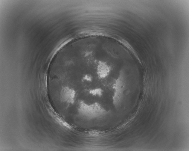 X0000080190790200612081426