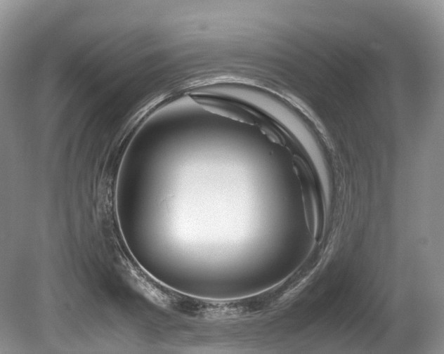 X0000080190793200612081426