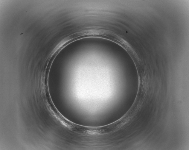 X0000080190794200612081426